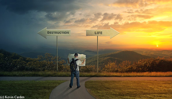 Two Paths – A Study of Proverbs 18